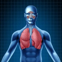 Respiratory Tinctures