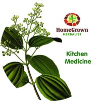 kitchen medicine homegrown herbalist movie