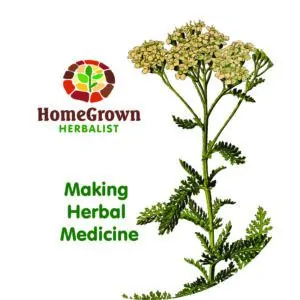 making herbal medicine movie by homegrown herbalist