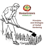 principles and strategies of herbal medicine homegrown herbalist