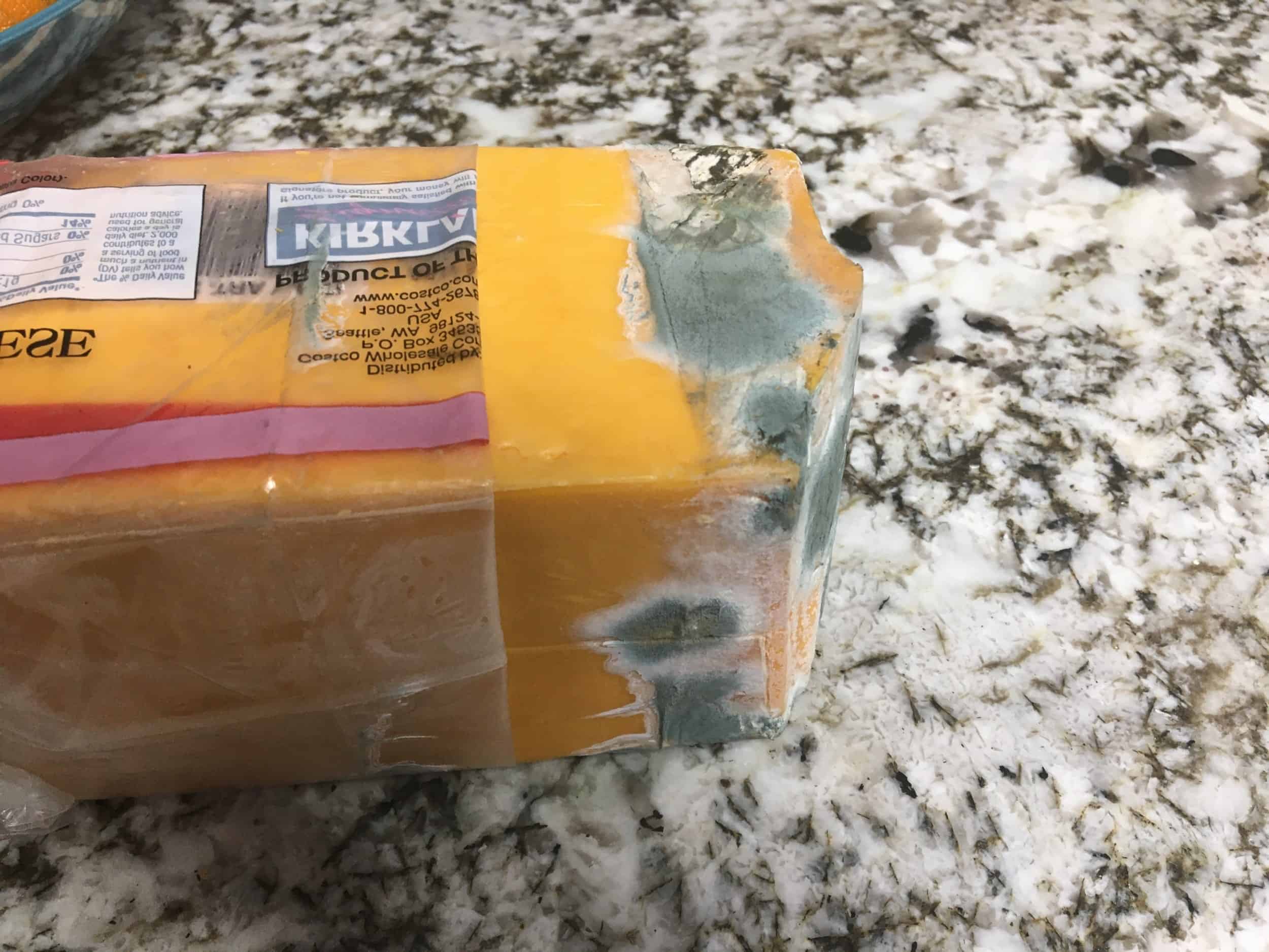 moldy cheese on countertop