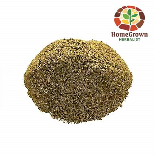 Brigham Tea Ephedra Powder Herb