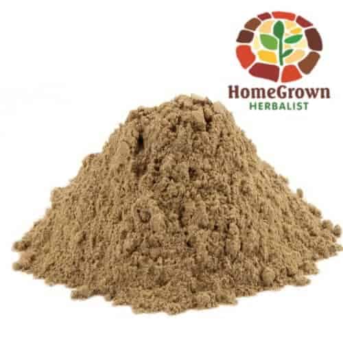 echinacea root powder herb