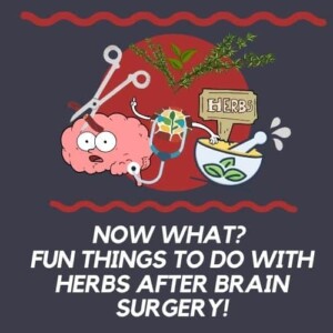 Now what? fun things to do with herbs after brain surgery