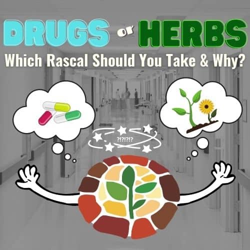 drugs or herbs, which should you take and why