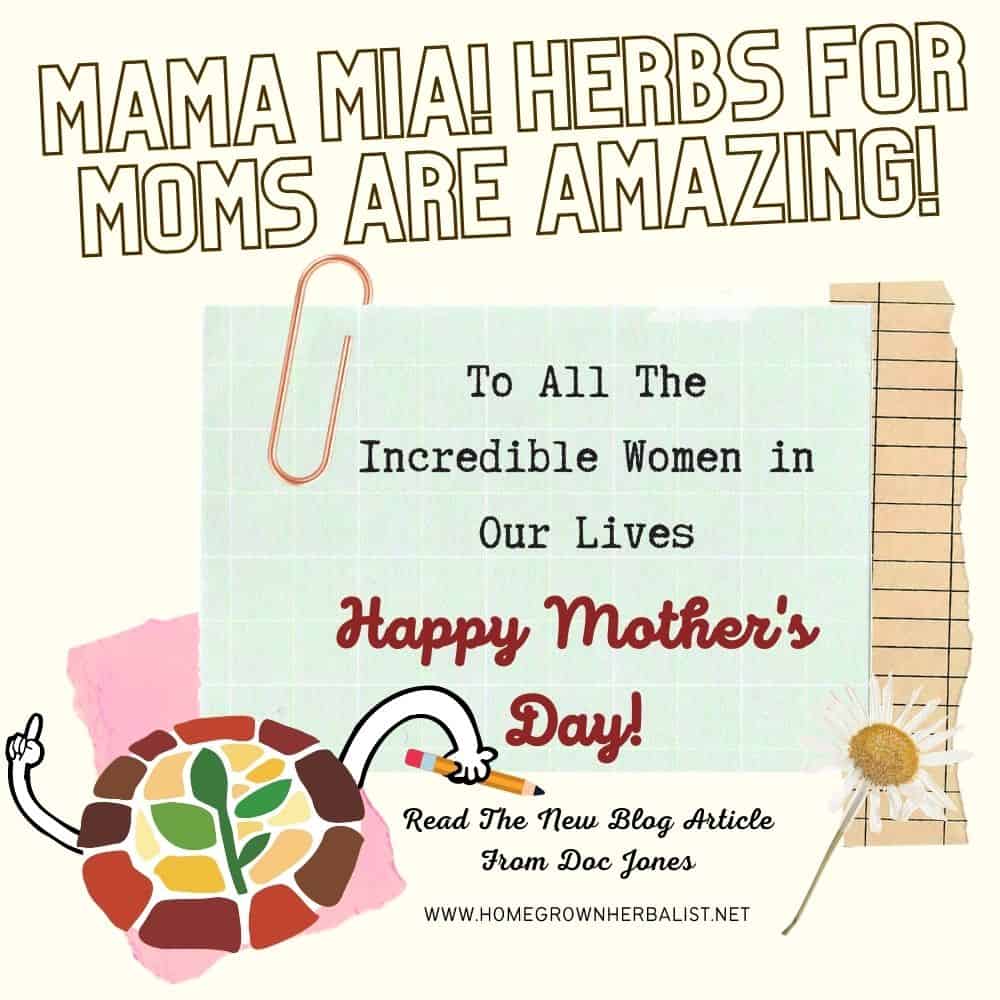 mama mia herbs for mothers on mothers day