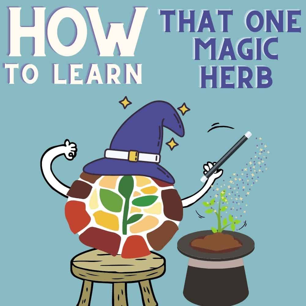 how to learn that one magic herb