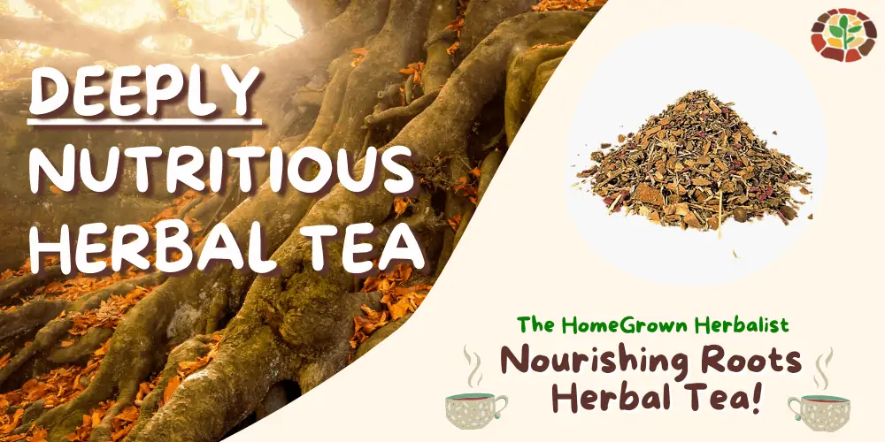 deeply nutricious herbal tea from homegrown herbalist