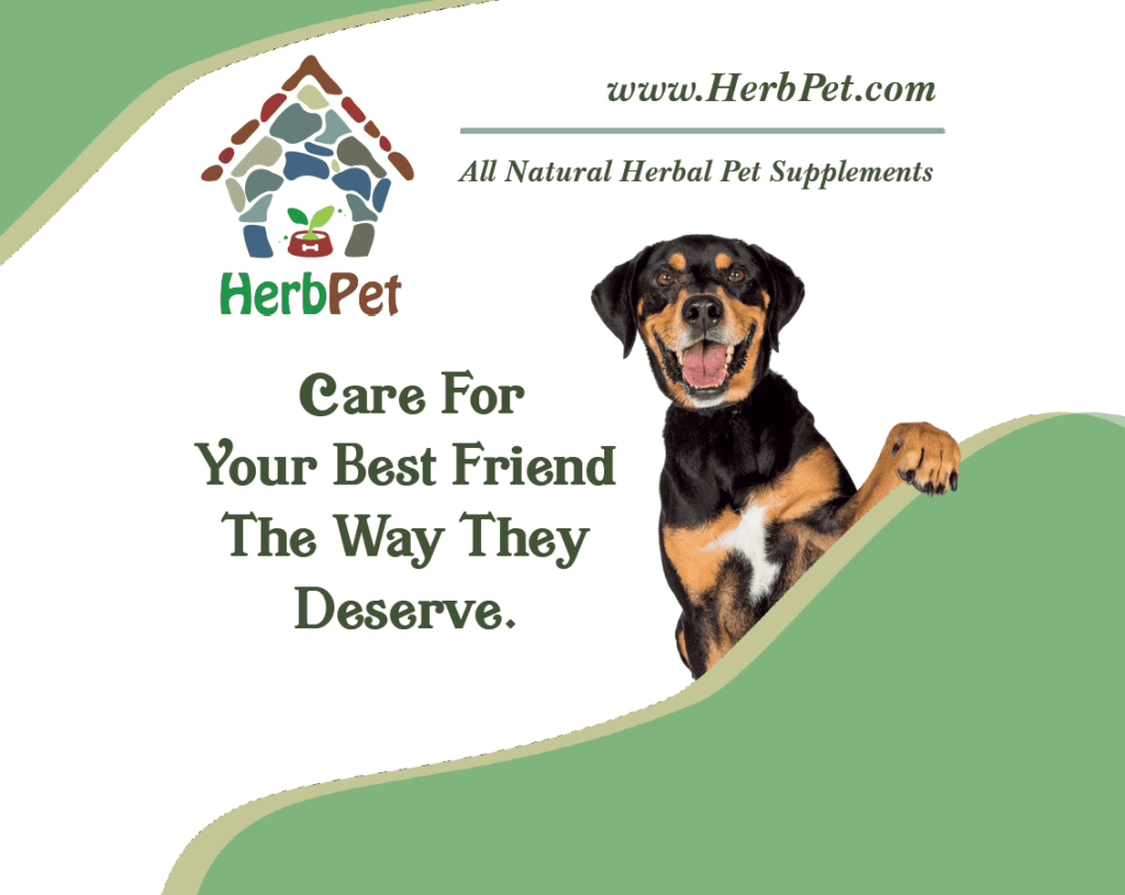 Dogs Need Herbs Too! 
