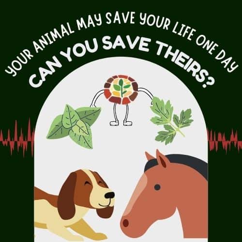 your animal may save your life someday, can you save theirs?