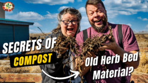 tips and tricks, secrets of good compost!