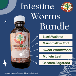 intestine worms herbal formula