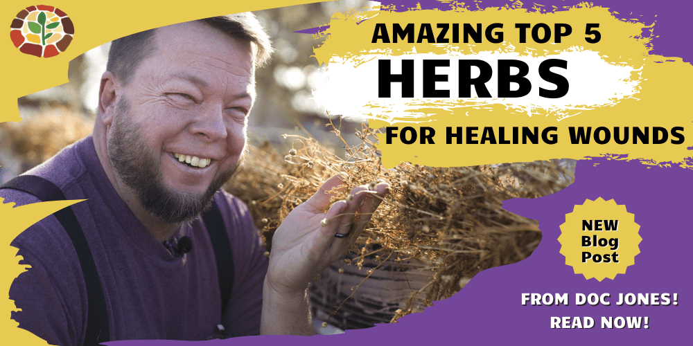 5 amazing herbs for wound healing