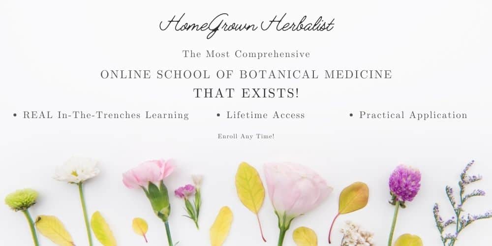 homegrown herbalist school of botanical medicine