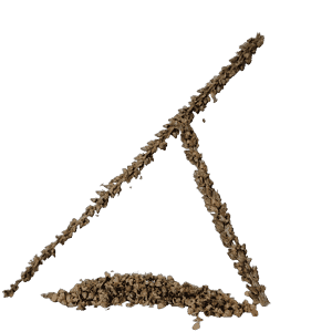plantain seed stalk