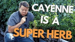 cayenne pepper is a super herb.