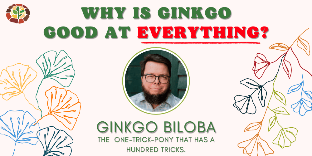 why is ginkgo good at everything