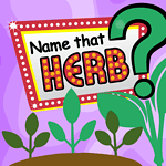 name that herb episode 2