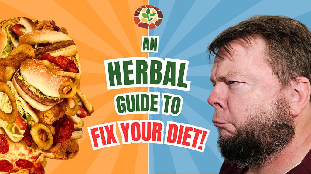 An Herbal Guide to Fix Your dIET!